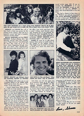 Tiger Beat January 1973