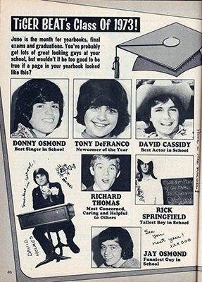 Tiger Beat July 1973