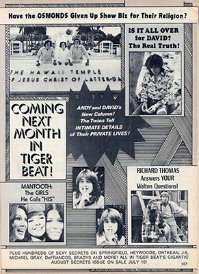 Tiger Beat July 1973