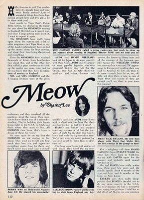 Tiger Beat July 1973