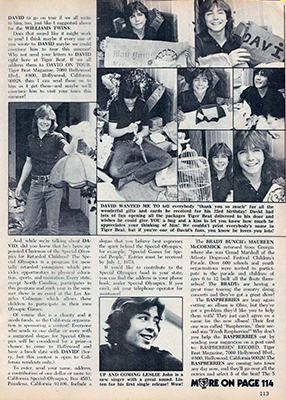 Tiger Beat July 1973