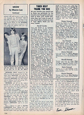 Tiger Beat July 1973