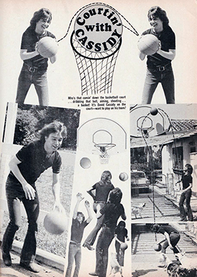 Tiger Beat July 1973