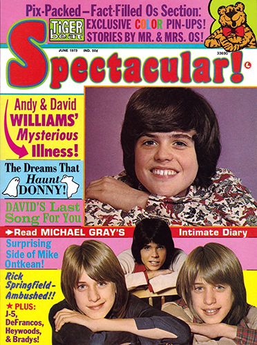 Tiger Beat Spectacular Magazine