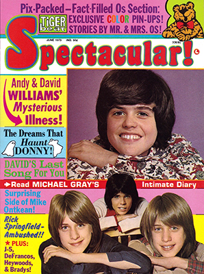 Tiger Beat Spectacular June 1973