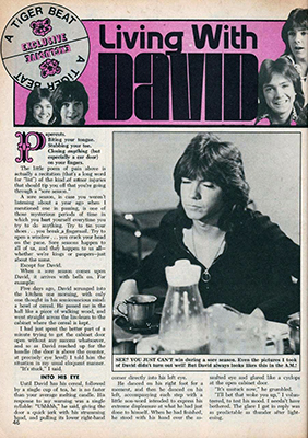 Tiger Beat June 1973