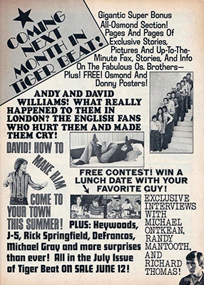 Tiger Beat June 1973