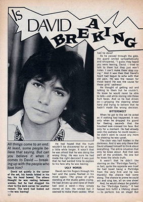 Tiger Beat June 1973