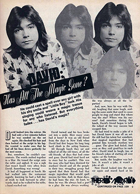 Tiger Beat March 1973