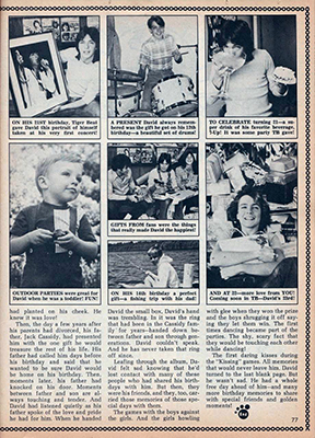 Tiger Beat May 1973