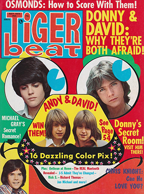 Tiger Beat May 1973