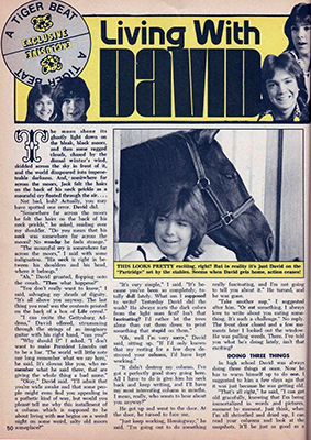 Tiger Beat May 1973