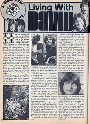 Tiger Beat November 1973