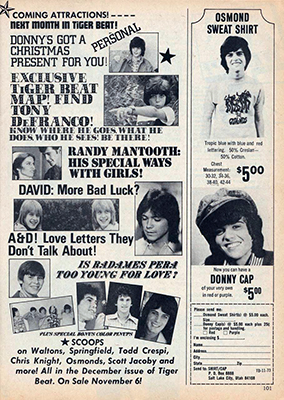 Tiger Beat November 1973