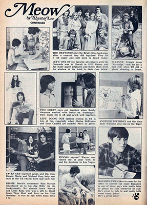 Tiger Beat November 1973