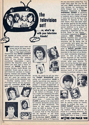 Tiger Beat November 1973