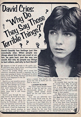 Tiger Beat November 1973