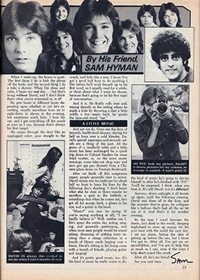 Tiger Beat October 1973