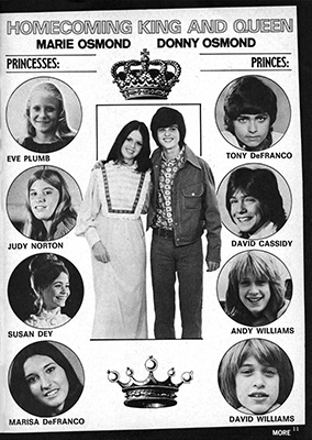 Tiger Beat Super Annual September 1973