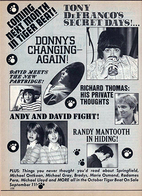 Tiger Beat Sept 1973