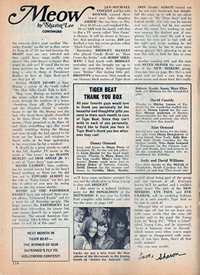 Tiger Beat Sept 1973