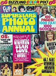 1973 Summer Flip Superstars Photo Annual