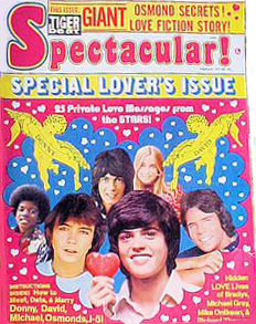 Tiger Beat Spectacular Magazine