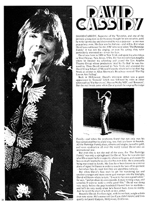 1973 Look-in Pop Special page 22