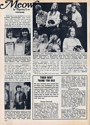 Tiger Beat April 1974