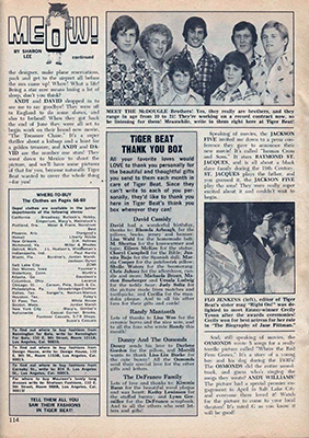 Tiger Beat August 1974