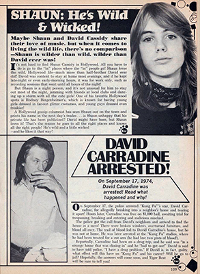 Tiger Beat December 1974