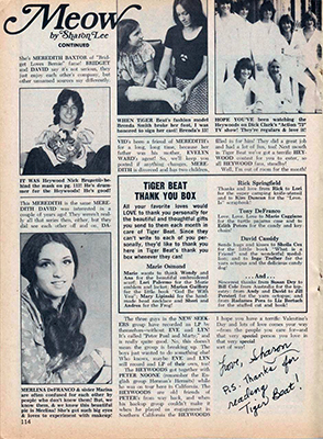 Tiger Beat February 1974