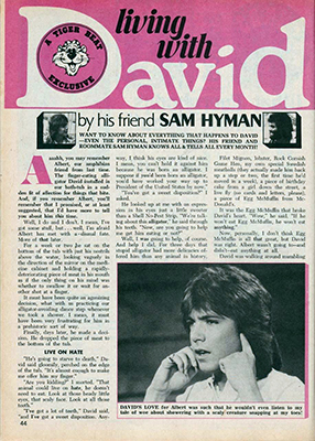 Tiger Beat February 1974