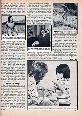 Tiger Beat February 1974