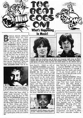 Tiger Beat January 1974