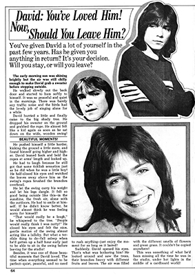 Tiger Beat January 1974