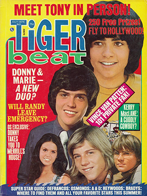 David Cassidy In Print - July 1974 Tiger Beat Magazine