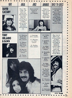 Tiger Beat July 1974