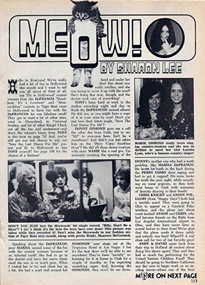 Tiger Beat July 1974