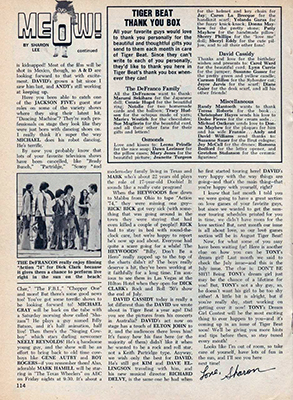 Tiger Beat July 1974