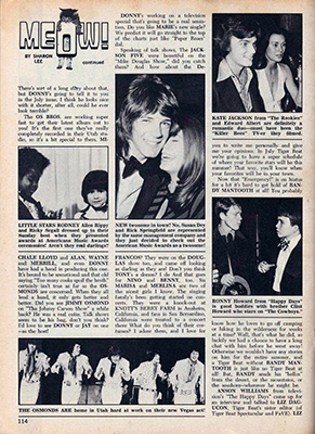 Tiger Beat June 1974