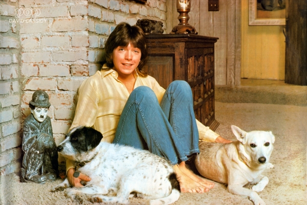 Pop magazine May 1974