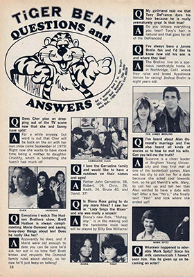 Tiger Beat November 1974