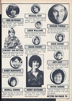 Tiger Beat November 1974