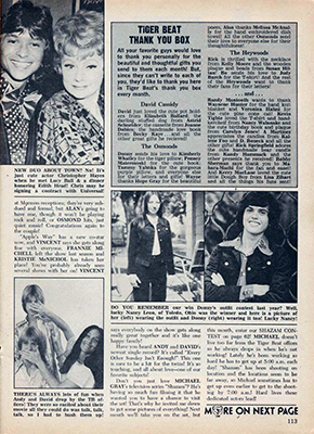 Tiger Beat November 1974