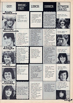 Tiger Beat Sept 1974