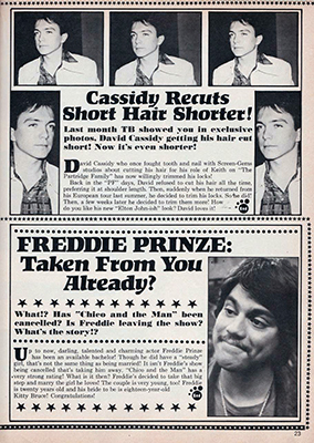 Tiger Beat January 1975