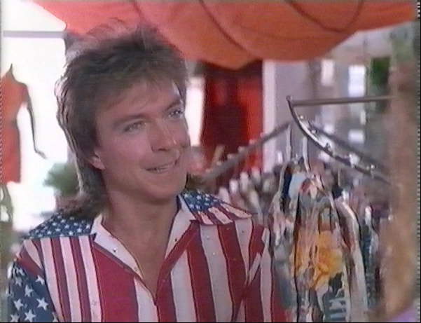 David Cassidy