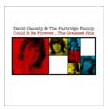 Could It Be Forever - Greatest Hits CD