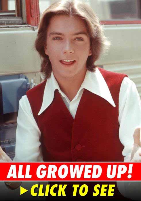 David Cassidy All Growed Up - See Below